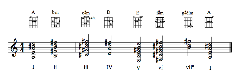 Guitar chords in AM